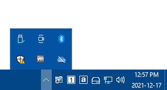 Notification area (&quot;system tray&quot;) on<br/>the DisplayFusion Taskbar