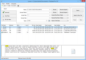 Main FileSeek Window Main FileSeek Window