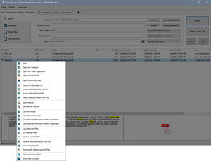 File Result Context Menu File Result Context Menu
