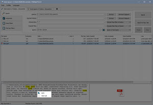 Result Preview Context Menu Result Preview Context Menu